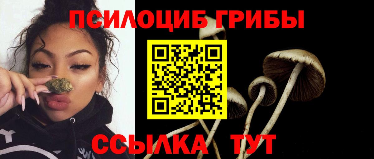 Псилоцибиновые грибы прущие грибы  Вход с VPN  купить  сайты  Белая Калитва 